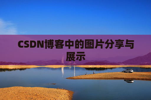 CSDN博客中的图片分享与展示